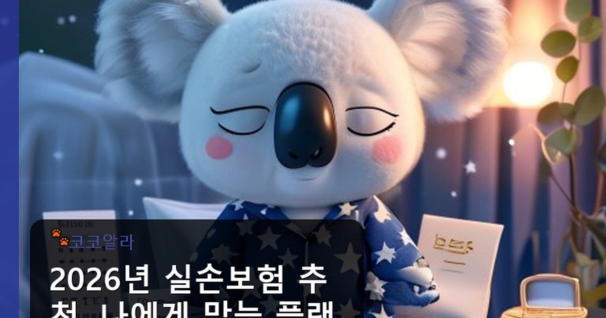 실손보험 추천 - insure.aaa12a.co.kr 캐릭터