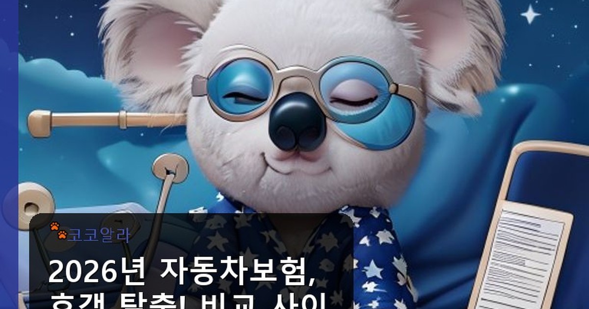 자동차보험 비교 사이트 - insure.aaa12a.co.kr 캐릭터