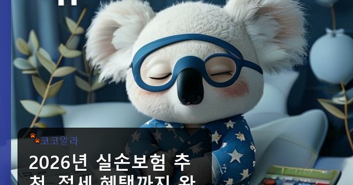 실손보험 추천해줘 - insure.aaa12a.co.kr 캐릭터