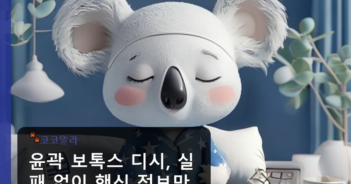 윤곽 보톡스 디시 - insure.aaa12a.co.kr 캐릭터