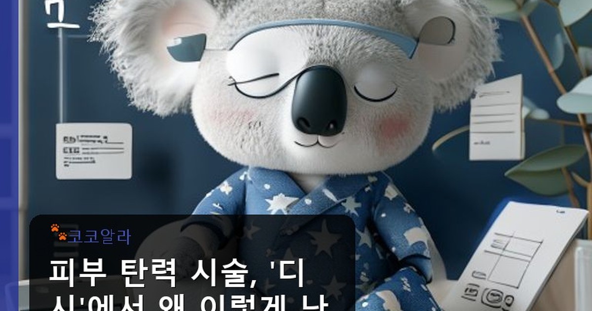 피부 탄력 시술 디시 - insure.aaa12a.co.kr 캐릭터